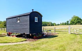 Crabden Shepherd Hut - Blendworth