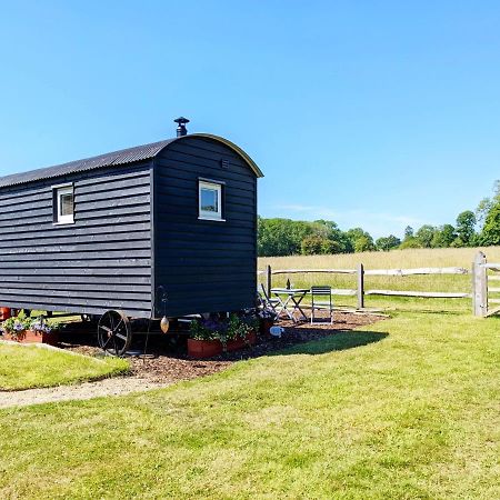 Crabden Shepherd Hut - Blendworth Villa Waterlooville Exterior photo