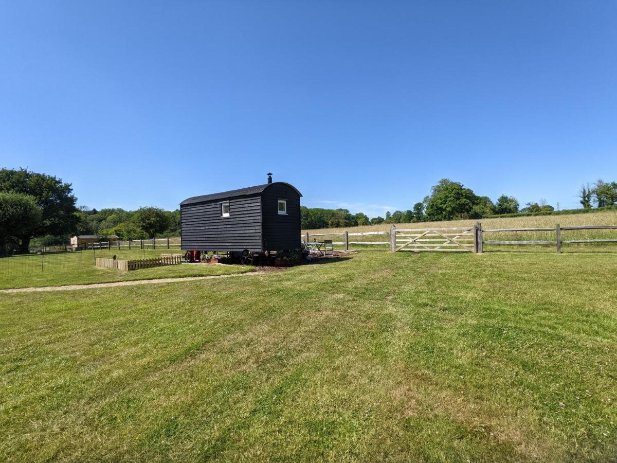 Crabden Shepherd Hut - Blendworth Villa Waterlooville Exterior photo